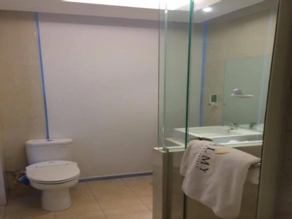Hotel Palmy