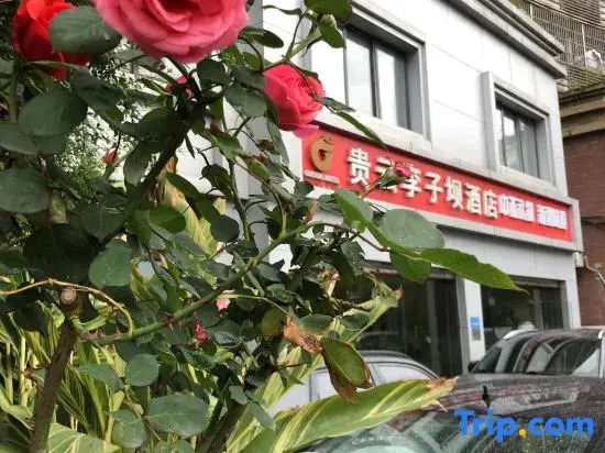 Chongqing Guiyun Liziba Hotel (Liziba Light Rail Station)