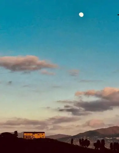 Bouganville