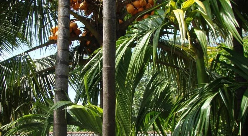 Bentota River Dilu Villa