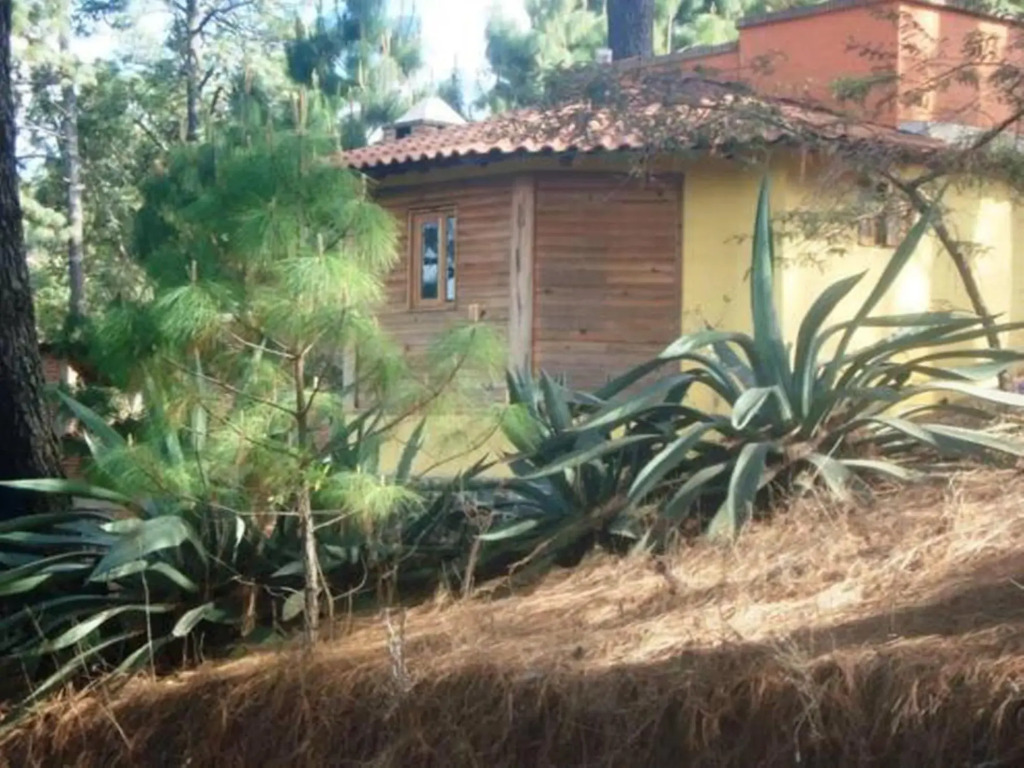 Cabañas El Pinar