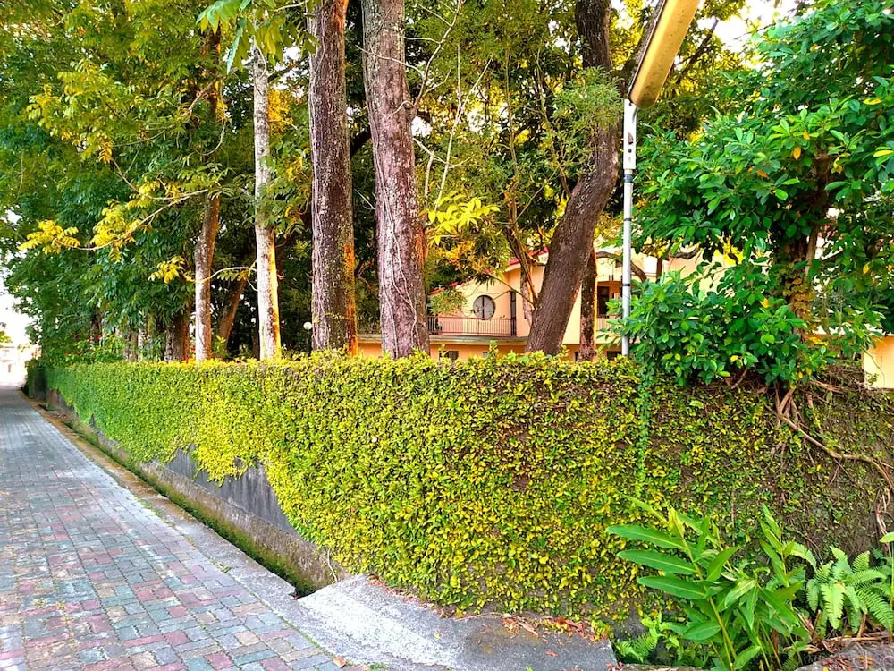 Luisa & Jack's Home