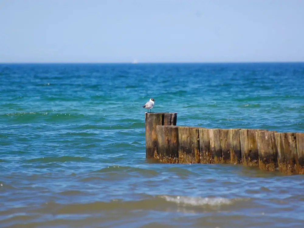 Cozy Apartment in Rerik with Sea Near
