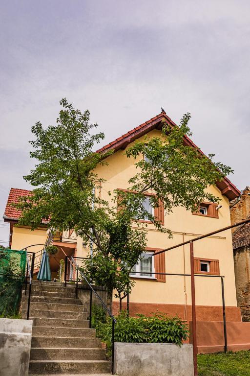 Gabi's home #1