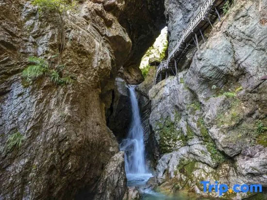 Shennongjia Xiju homestay