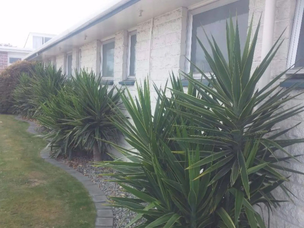 Raymar Motor Inn