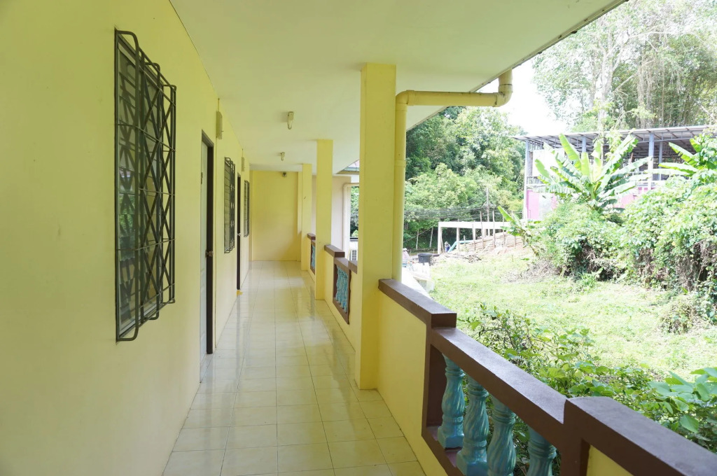 Palmy Home