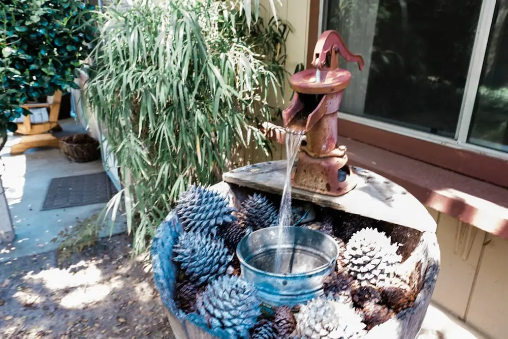 Pinecone Getaway
