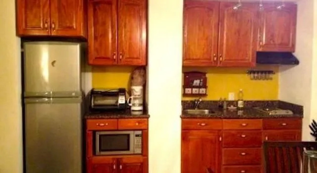 Pacific View Vallarta Condo 1042