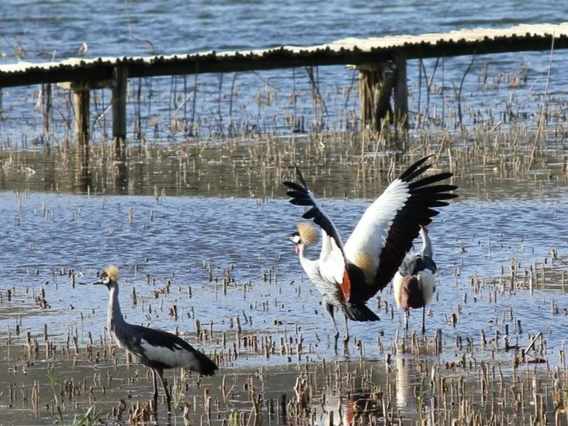 Beacon Vlei Guest farm