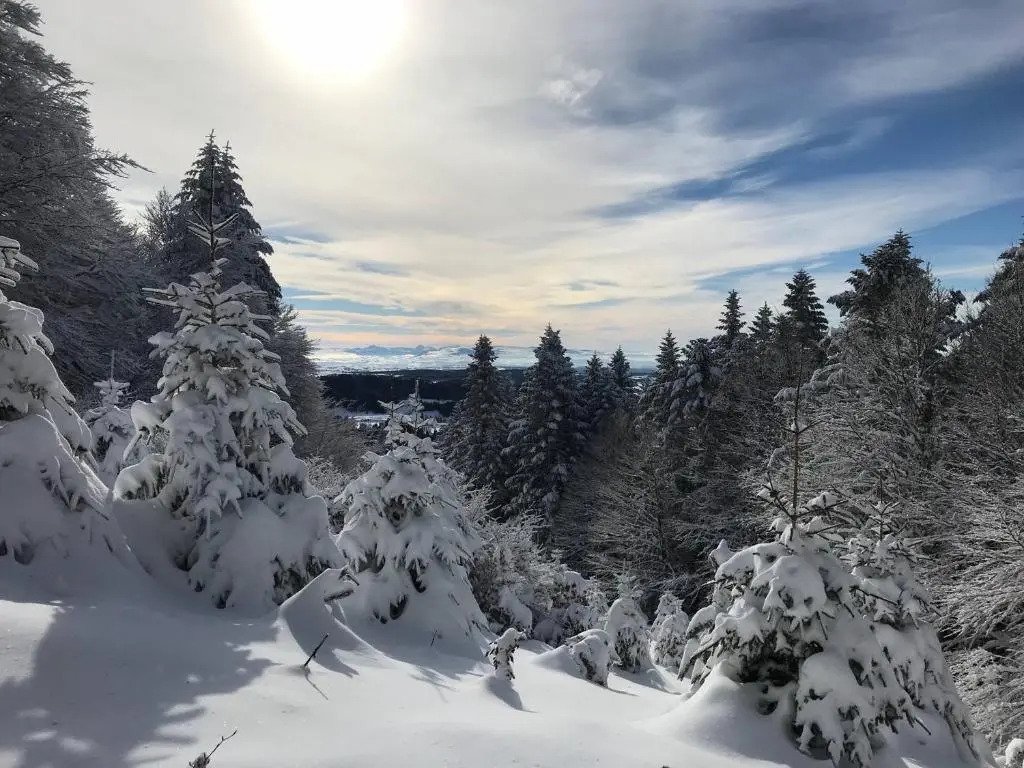 Appartement Mont-Dore, 2 pièces, 4 personnes - FR-1-608-68