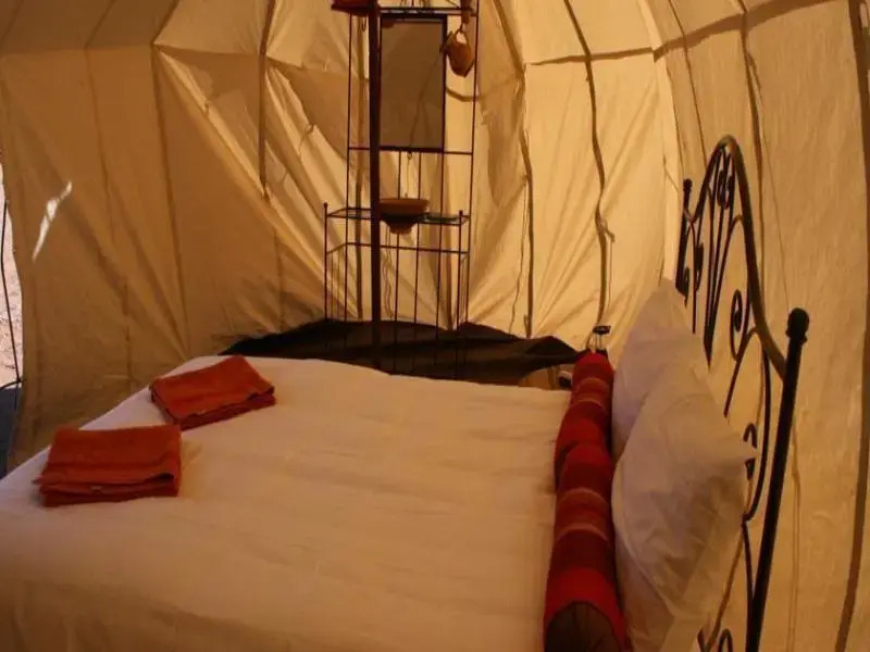 Sahara Safari Camp