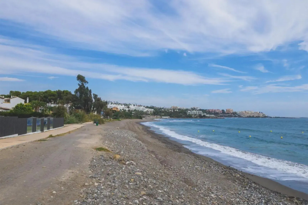 Estrella del mar
