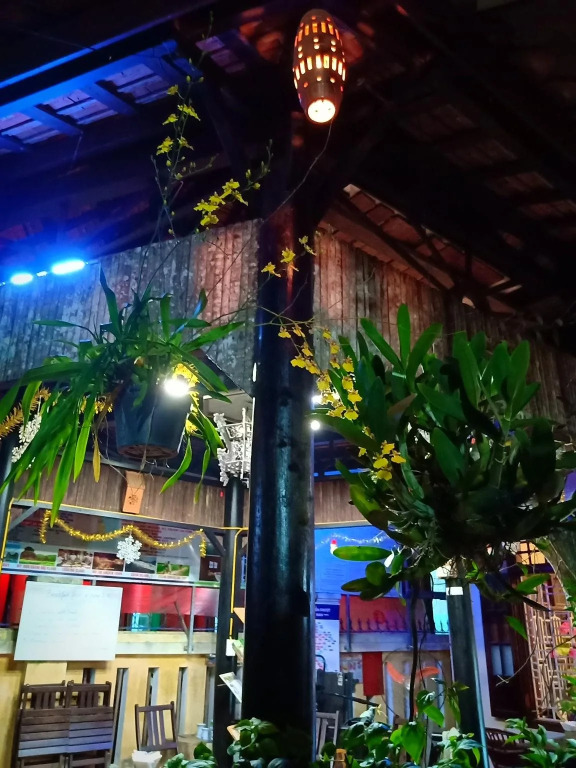 Terra Cotta Homestay