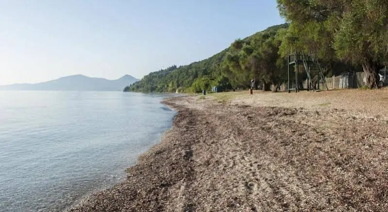 Traditional Greek Village House, Near the Sea, Corfu, Greece Relaxing Holidays