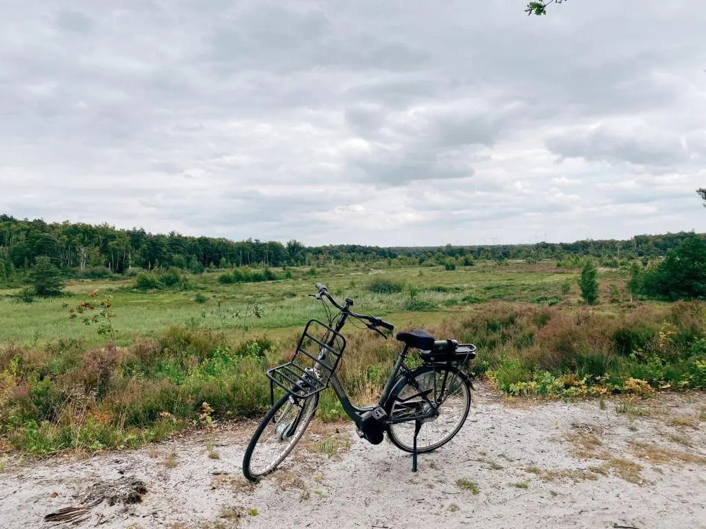 Mimi's natuurhuisje