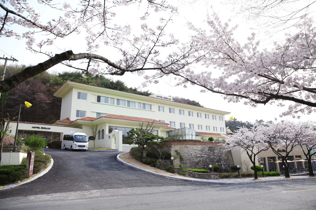 Palgong Emillia Hotel