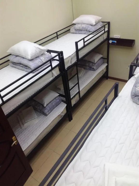 Shelter Hostel