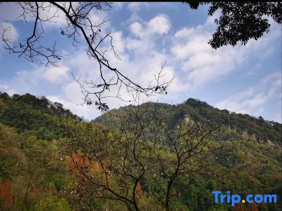 Qingcheng Mountain Houshan Qingshanmuxi Homestay