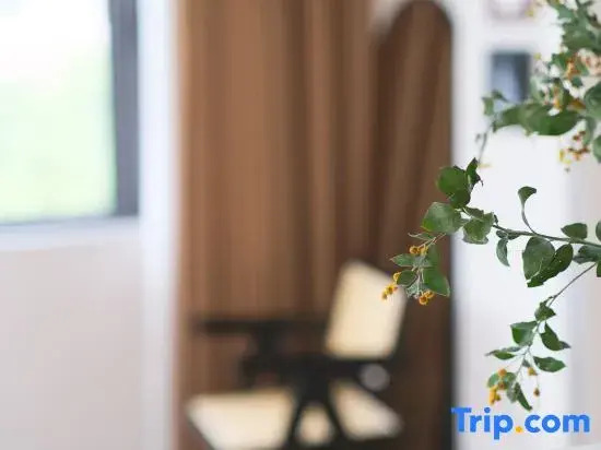 Jiujian Yixiu · Mid-Century Style Designer Boutique Stay (Linhai Yintaicheng)