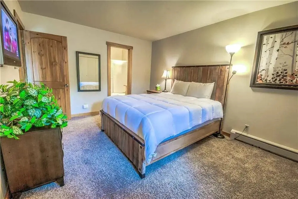 Ski Inn 234