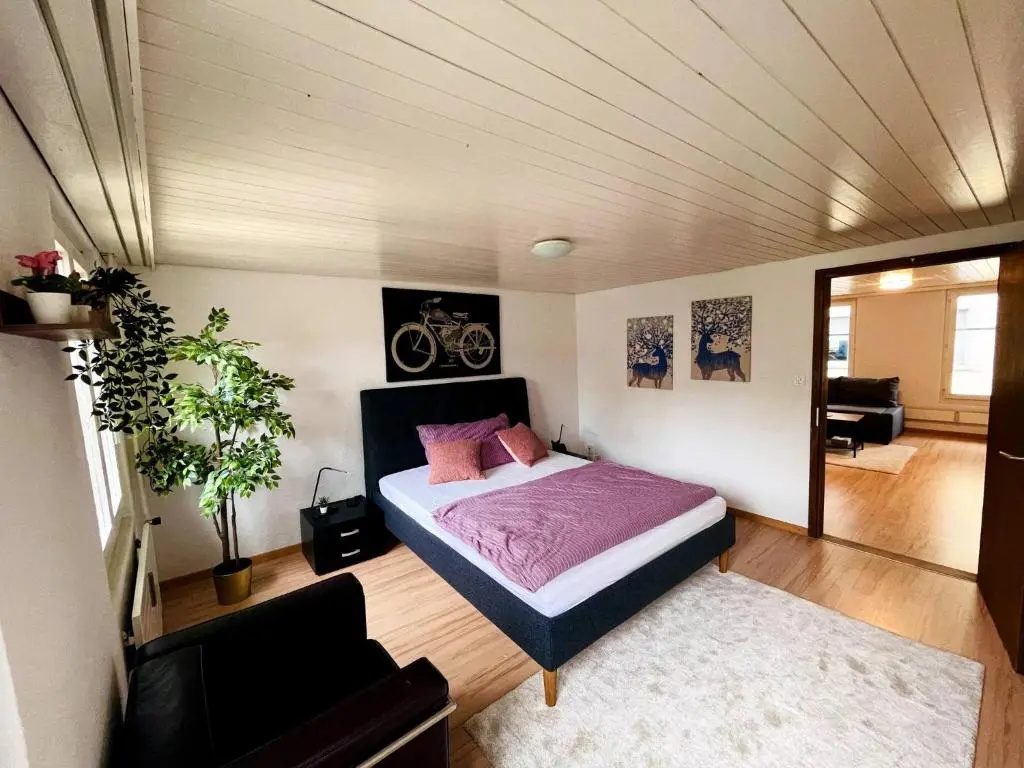 Newly Furnished Beautiful old Building Apartment in the Center With Apple TV