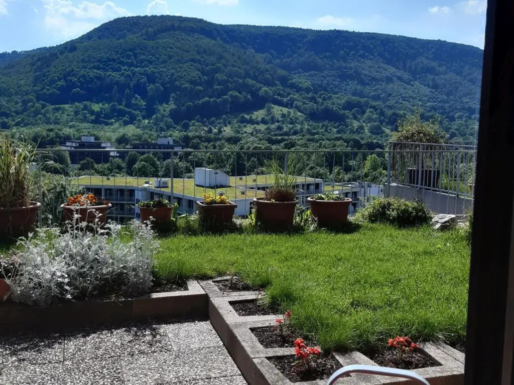 Ferienwohnung Panoramablick