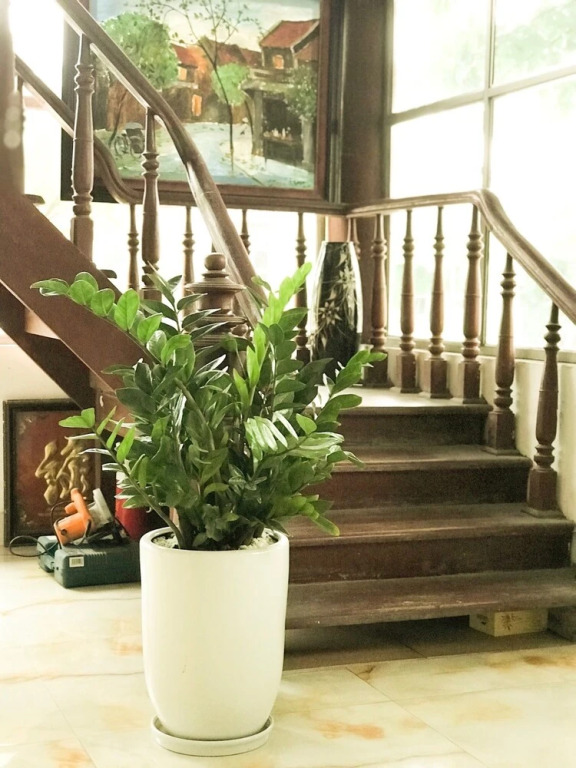 Vinh Gia Airport Lake View Hostel