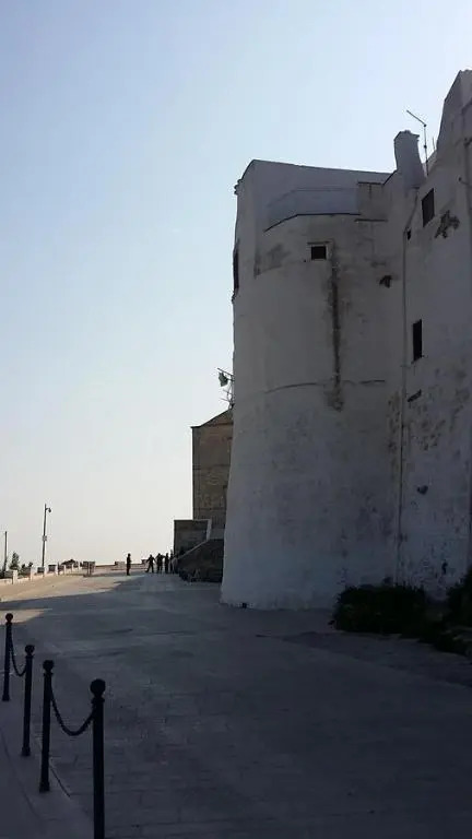 Latorreangioina