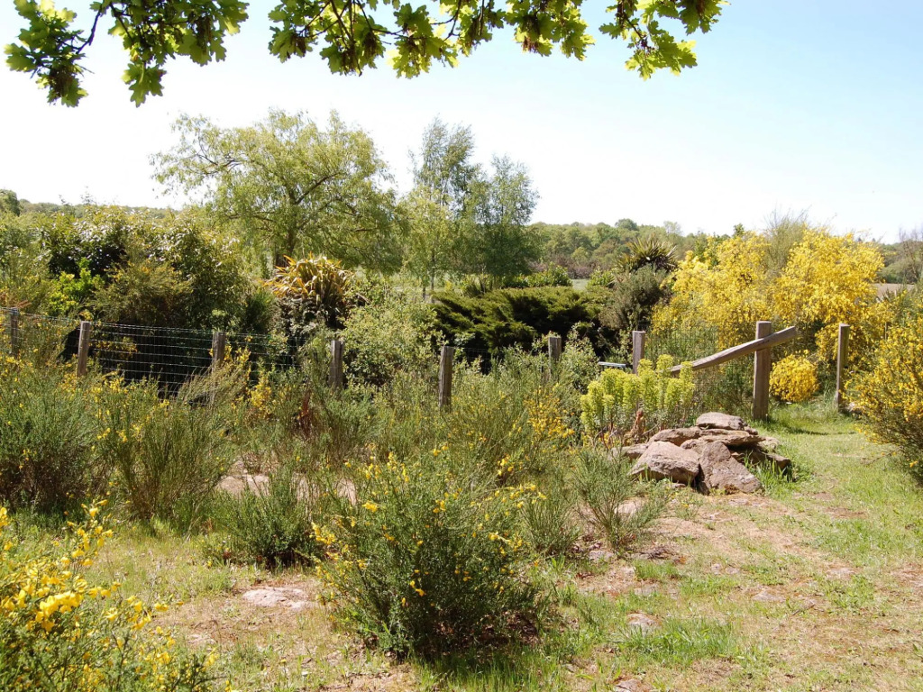 Lovely mansion with fenced garden