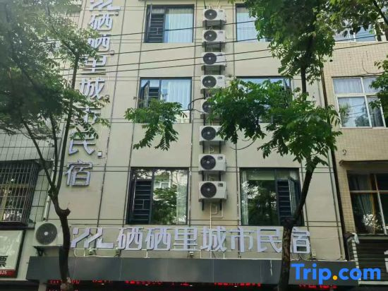 Xixi Li Urban Homestay
