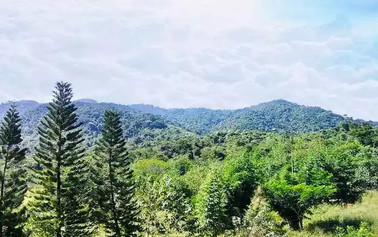 Zen Next Khao Yai By ZV