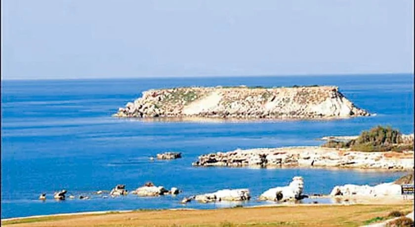 Dalia Villa