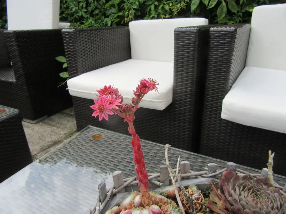 Hotel Zum Hanseaten