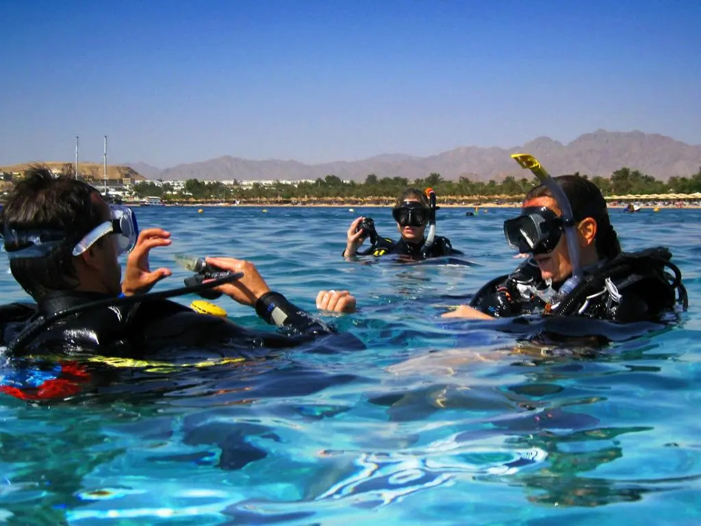 Oonas Dive Club