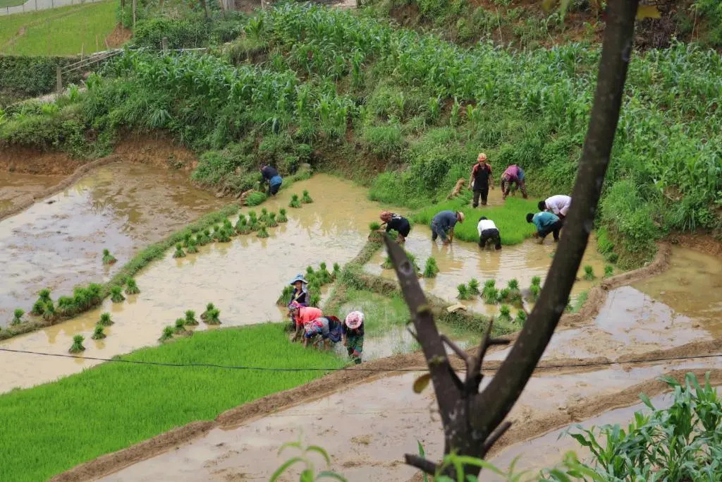SaPa Farmer House