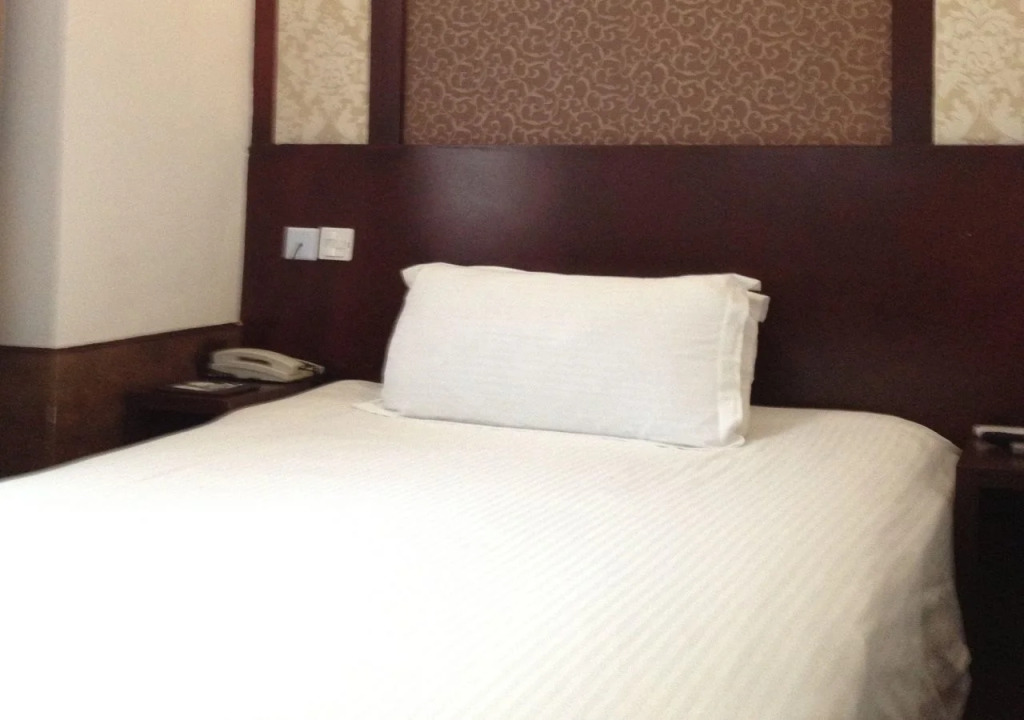 Baolong Homelike Hotel (Youyi Branch)