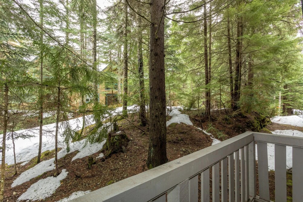 Forest Trails by Outpost Whistler