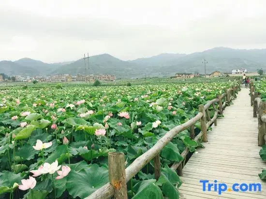 Rucheng Hot Spring Fuquan Resort