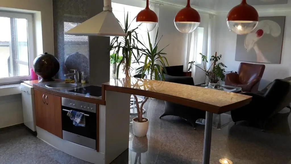 Vilnius Luxury Apartment 1
