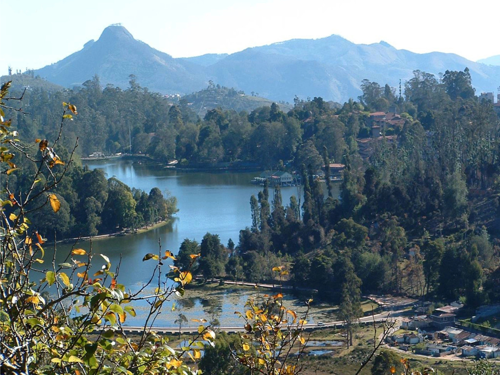 Hill Heaven Home Stay