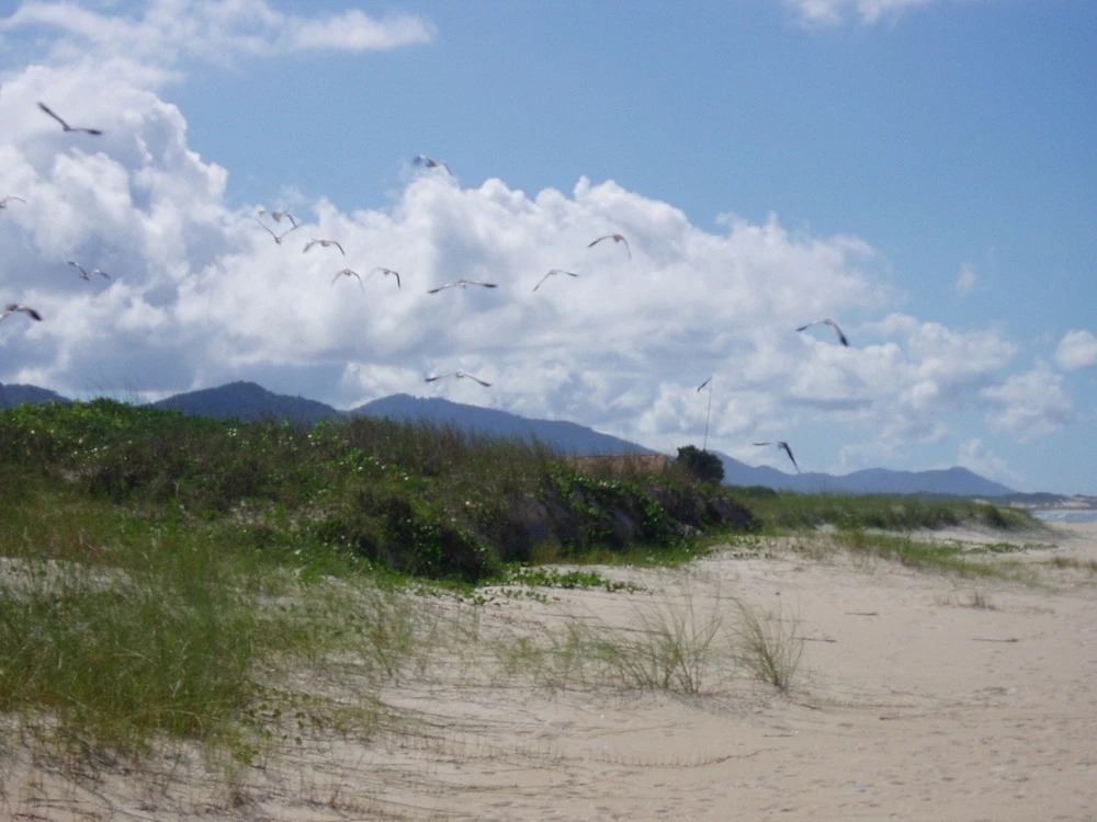 Pousada Natur Campeche
