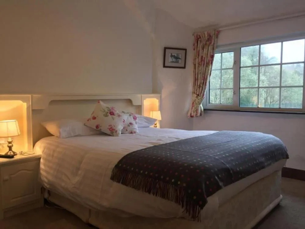 Ryans River Lodge B&B