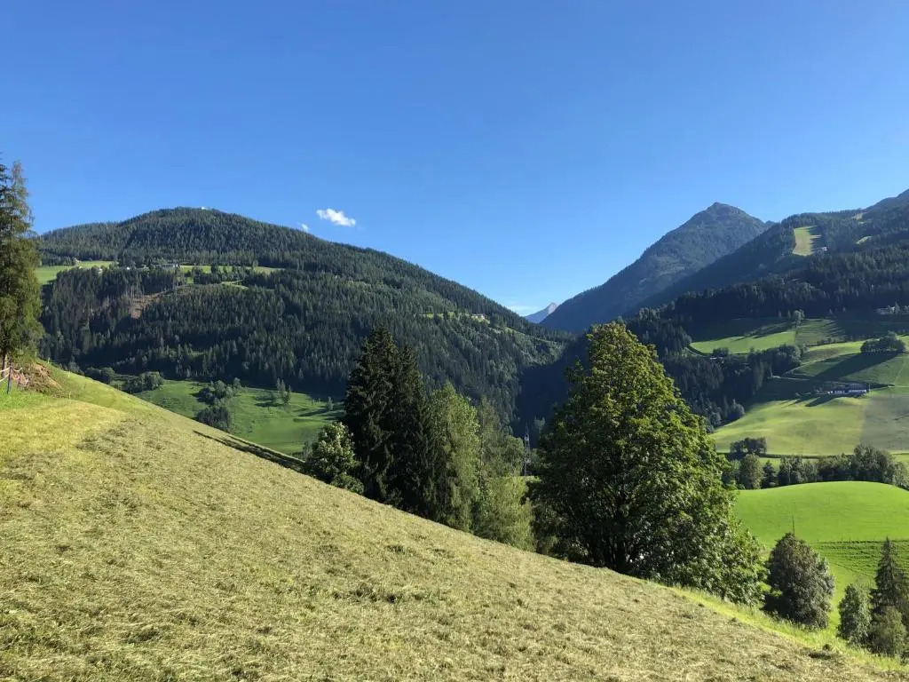 Ferienwohnung Staltner