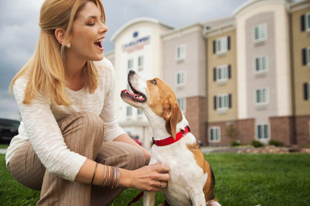Sonesta Simply Suites Dallas Richardson