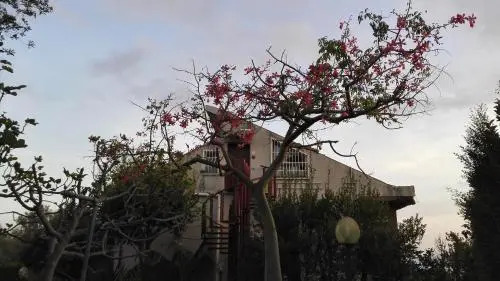 Lucrezia Loft Garden Catania