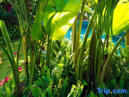 Yangxi Valley Garden Hotel Country Garden Huizhou