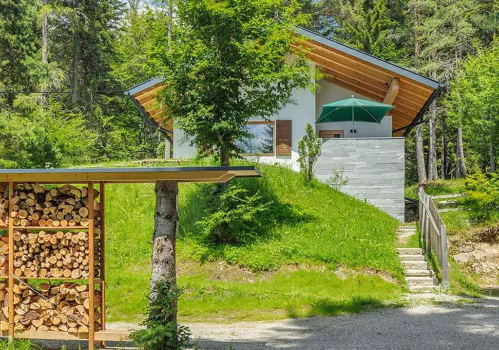 DAS HAUS IM WALD