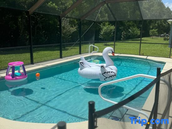 Beautiful Pool Home near the I95 Exit 284