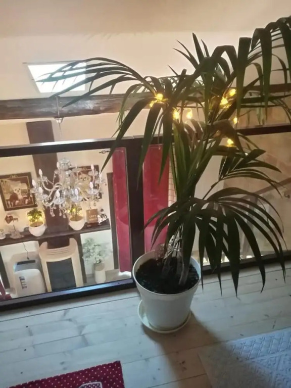 Studio in Vignanello, With Furnished Balcony and Wifi